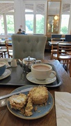 6th Sep 2025 - Tea and scone