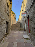 6th Sep 2025 - Hair Cut Day