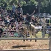Gympie Muster #5 by robz
