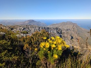 3rd Sep 2025 - On the Table Mountain