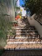 4th Sep 2025 - Colourful 