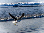 28th Aug 2025 - And we have lift off!