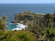 7th Sep 2025 - Cape Point Nature Reserve 