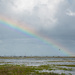 Keyhaven Rainbow