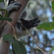 6th Sep 2025 - a foot ahead