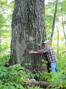 7th Sep 2025 - We Found a Giant!