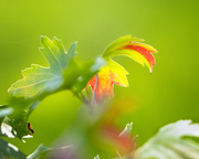 6th Sep 2025 - changing seasons