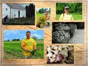 7th Sep 2025 - MFPIAC-141 Agriculture