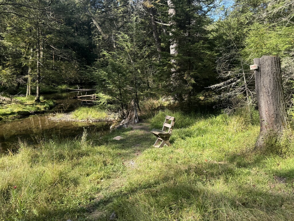 A Peaceful Spot by blackmutts