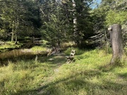 8th Sep 2025 - A Peaceful Spot