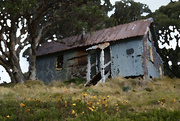 1st Sep 2025 - A month of filters: Hut on Bogong Plains
