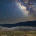 A month of filters: Bogong Plains night by jeneurell
