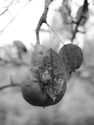 8th Sep 2025 - Hiding My Blemishes