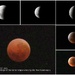 Lunar Eclipse - stage 1 by gilbertwood
