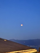8th Sep 2025 - Red moon. 