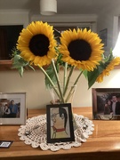 8th Sep 2025 - Sunflower Time