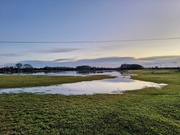 7th Sep 2025 - Horizon - Field flood