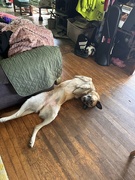 8th Sep 2025 - Ignoring the neighbor 