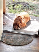 9th Sep 2025 - The neighbor 