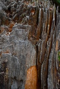 8th Sep 2025 - Layers of a Decomposing Tree Stump