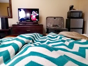 6th Sep 2025 - 30 Days of Teal: Day 6-- Blanket