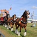 Moreton-in- Marsh Agricultural Show