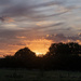 Tonights Sky by pcoulson