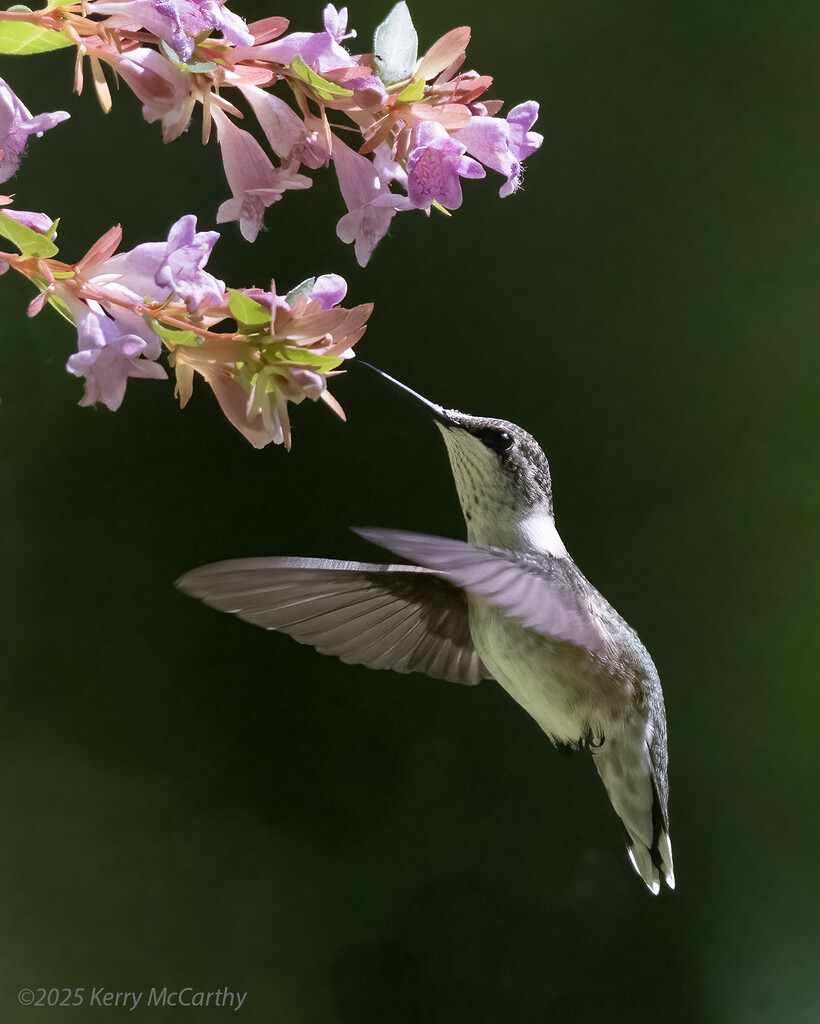 Still here, fueling up. by mccarth1