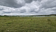 8th Sep 2025 - Horizon - at the nature reserve