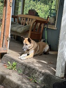 11th Sep 2025 - Sunbathing 