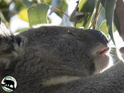 9th Sep 2025 - tasty