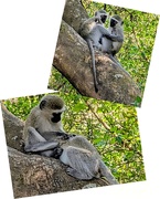 10th Sep 2025 - This is love