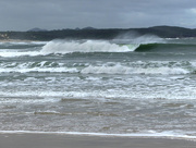 11th Sep 2025 - Windy Weather