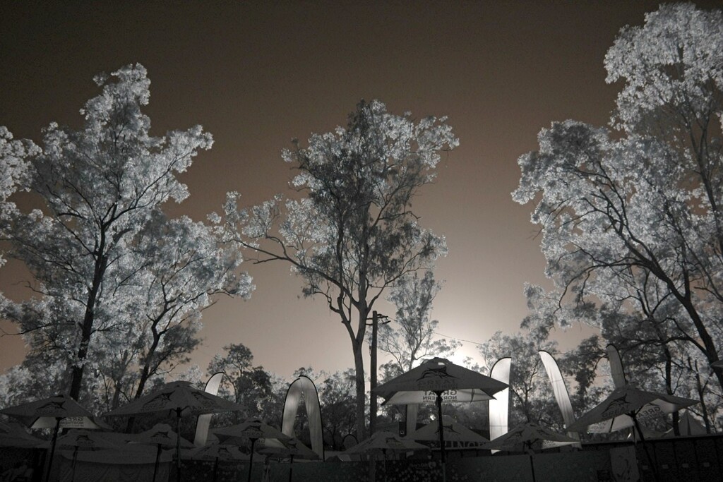 A wander with the IR camera by robz