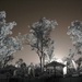 A wander with the IR camera by robz