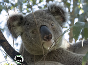 11th Sep 2025 - ala naturale