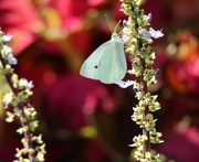 11th Sep 2025 - My Turn!