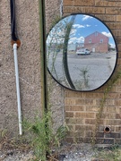 8th Sep 2025 - Mirrored