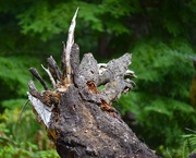 11th Sep 2025 - It's a Unicorn