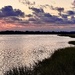 Marsh serenity at sunset by congaree