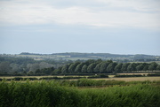 11th Sep 2025 - Horizon - Trees and Fields