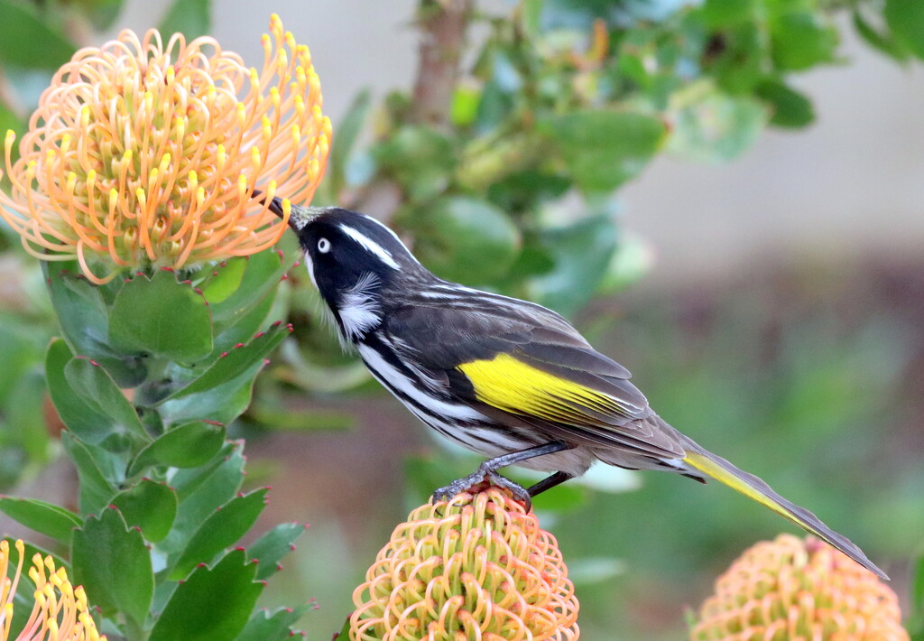 Out my front window by gilbertwood