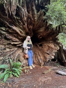 12th Sep 2025 - The root of it all