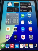 12th Sep 2025 - Look What I Got 