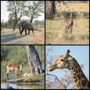 12th Sep 2025 - Botswana Day 4 - 3