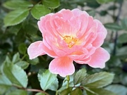 12th Sep 2025 - 12september