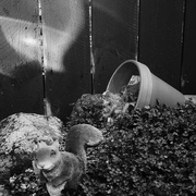 13th Sep 2025 - Reflection 