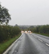 13th Sep 2025 - Welcome to Autumn 