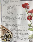 13th Sep 2025 - Kolachi 