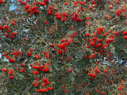 13th Sep 2025 - Family Day